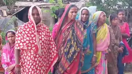 ଧର୍ମଶାଳା: ମରାମତି ହୋଇପାରୁନି ଦୁର୍ବଳ ନଦୀବନ୍ଧ, ଚିନ୍ତାରେ ଜରୀ ଅଞ୍ଚଳର ନଦୀ କୂଳିଆ ଲୋକେ #jansamasya