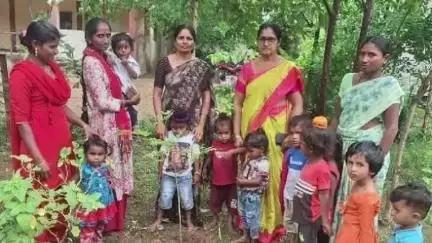 బోధన్: ఎడపల్లిలోని అంగన్వాడీలో ఏక్ పెడ్ మాకే నామ్ కార్యక్రమం నిర్వహణ