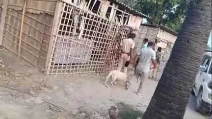 मोतिहारी: मोतिहारी जिला अंतर्गत ALTF टीम ने शराब के विरुद्ध कार्रवाई करते हुए 6 लोगों को किया गिरफ्तार, बरामद की गई देसी शराब