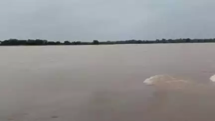 কেশিয়ারি: সুবর্ণরেখা নদীতে জল বাড়ার ফলে শুরু হয়েছে নদীপাড় ভাঙ্গন  আতঙ্কে রয়েছেন ভসরা এলাকার মানুষ