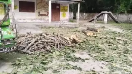 মেখলিগঞ্জ: অবৈধভাবে গাছ কাঁটার অভিযোগে জয়হরি প্রাথমিক বিদ্যালয়ের প্রধান শিক্ষক ও স্থানীয় পঞ্চায়েত সদস্যের বিরুদ্ধে গন অভিযোগ দায়ের