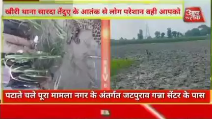 #लखीमपुर थाना सारदा तेंदुए के आतंक से लोग परेशान वही आपको पटाते चले पूरा मामला नगर के अंतर्गत जटपुराव गन्ना सेंटर के पास