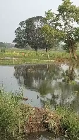 Block Shitalpur jila ETAH  Bahanpur mein 
Bahanpur