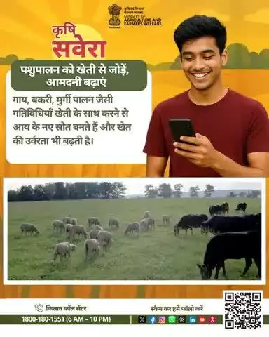 हर सुबह खेती की सही बात! 
जुड़े रहिए #KrishiSavera के साथ और शेयर करें अपनी टिप्स। 

#Agrigoi #Farmingtips