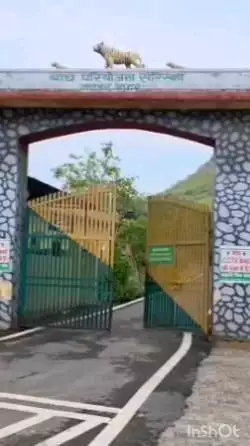 अलवर: अलवर में सरिस्का CTH सीमांकन पर आपत्ति, जंगल वॉच ग्रुप ने पुनर्विचार की मांग की