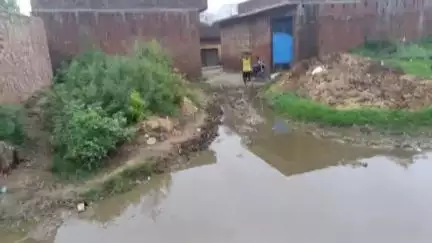 विलेज ज़खौलिया तहसील बिसौली बदायूं
उत्तर प्रदेश  दल दल में लोग परेशान
कोई भी सुनने को तैयार नहीं है.....