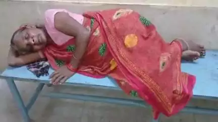 आंवला: आंवला में सरकटा का आतंक, दो महिलाएं और कई पशु हुए घायल, स्वास्थ्य केंद्र में रोज आ रहे 50 से ज्यादा मामले