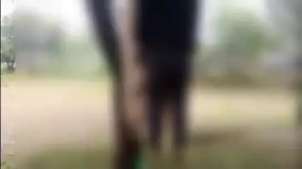 पामगढ़: पामगढ़ थाना क्षेत्र में प्रेमी ने प्रेमिका की मांग में भरा सिंदूर, फिर दोनों ने एक ही फंदे से लगाई फांसी