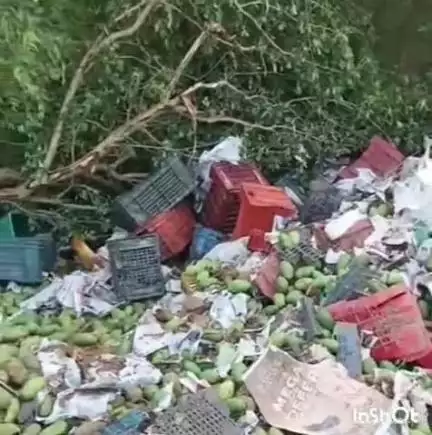 टांडा: शुकुल बाजार बाईपास पर नींद आने से चालक के पिकअप गड्ढे में पलटने से बहराइच से आजमगढ़ जा रहा था वाहन, चालक का इलाज जारी
