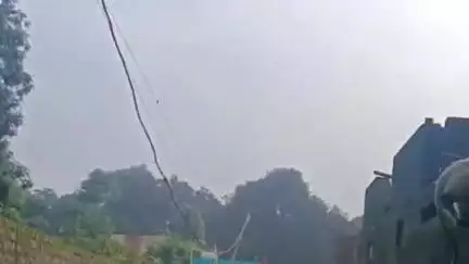 कांके: कांके की मिल्लत कॉलोनी में दिखा लंगूर, लोगों में जगी उत्सुकता