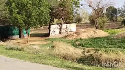 आलोट: माऊ खेड़ी में खेत की मेड़ को लेकर दो पक्षों में विवाद, 8 लोगों पर मामला दर्ज