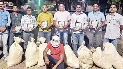 दारव्हा: महागाव कसबा येथे पाच लाखांचे बोगस बीटी बियाणे जप्त, स्थानिक गुन्हे शाखा व कृषी विभागाची कारवाई