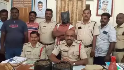 నగరి: నగరిలో గంజాయితో పట్టుబడ్డ వ్యక్తి అరెస్ట్