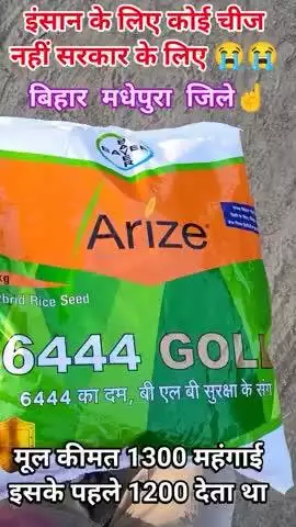 6444 धान का बीज का ज्यादा मात्रा में दम भर रहा है मधेपुरा बिहार गोलपारा प्रखंड #videos #India#Bihar#viralReels#manish