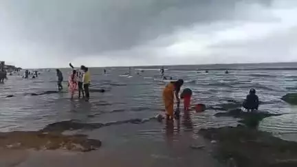 திருச்செந்தூர்: திருச்செந்தூரில் அதிசயம் 70 அடி தூரம் வரை கடல் உள்வாங்கியது