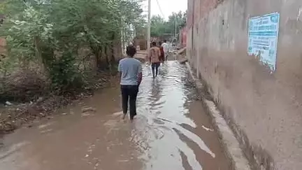 बबेरू: बबेरू कस्बे के अंबेडकर नगर मे जल निकासी की व्यवस्था न होने पर सड़कों मे भरा पानी मोहल्ले वासी हो रहे परेशान #jansamasya