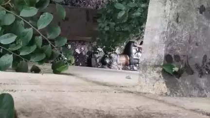 बूंदी: अस्पताल मोर्चरी के पीछे मिले शव की पहचान नहीं हो सकी, पुलिस ने पोस्टमार्टम करवा कर किया अंतिम संस्कार