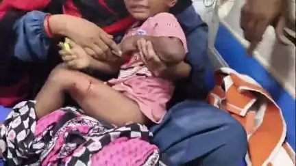 হলদিয়া: হনুমানের তাণ্ডবে হলদিয়া দিঘাসিপুরে জখম 3, চিকিৎসার জন্য আনা হয়েছে হলদিয়া মহকুমা হাসপাতালে