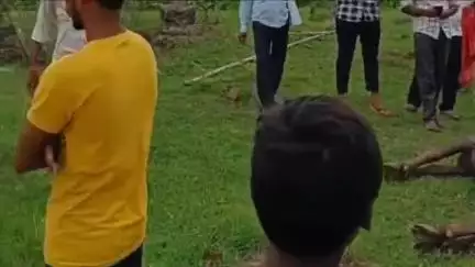 सिवनी: मड़वा ढाना गांव में विद्युत पोल पर लगे अर्थिंग तार की चपेट में आकर मवेशी की हुई मौत, ग्रामीणों ने लगाए लापरवाही के आरोप