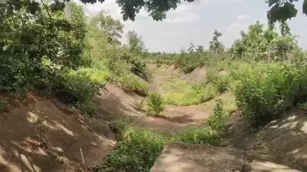 ఖానాపూర్: డి 27 కాలువ మరమ్మత్తులు చేసి ఆయకట్టు చివరివరకు సాగునీటిని అందించాలని కోరుతున్న రైతులు #localissue