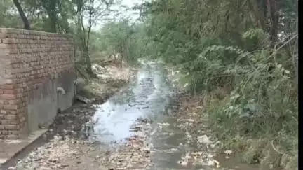मथुरा: ग्राम सेरसा: पिछला 5 वर्षों से जल भराव की समस्या से जूझ रहे ग्रामीण #jansamasya