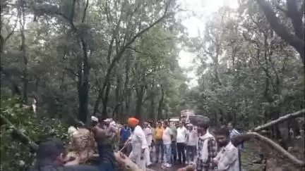 नेशनल हाईवे जगाधरी-पांवटा साहिब रोड पर कलेसर के पास पेड़ गिरने से लगा जाम