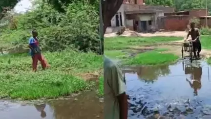महावन: गांव  लोहवन के पटवारी कॉलोनी वाले रास्ते में तालाब का भरा पानी घरों में घुस रहे सांप और बिच्छू #जनसमस्या