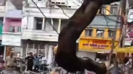 सागर नगर: तीन बत्ती हनुमान मंदिर में पीपल का पेड़ टूटने से विद्युत सप्लाई बाधित, लोग बाल-बाल बचे
