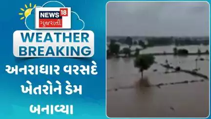Gujarat Heavy Rain News: અનરાધાર વરસદે ખેતરોને ડેમ બનાવ્યા | Monsoon Update | Rain Update | News18