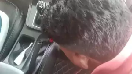 कवर्धा: कोसमंदा-कौड़िया रोड में एक कार के गियर बॉक्स में घुसा अज्ञात ज़हरीला सांप, घंटों मशक्कत के बाद भी नहीं निकाला जा सका