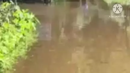 বোকাখাত: বছৰেকত ছয় মাহেই বুৰ গৈ থাকে কাজিৰঙাৰ দুৰ্গাপুৰ নামৰ অঞ্চলতো,পাচ শতাধিক ৰাইজৰ হাহাকাৰ #jansamasya