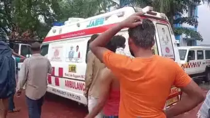 ठीकरी: ठीकरी में दर्दनाक हादसा, खेत से लौट रहे किसान की बैलगाड़ी पर गिरा बिजली का तार, किसान और 1 बैल की मौत, 2 घायल