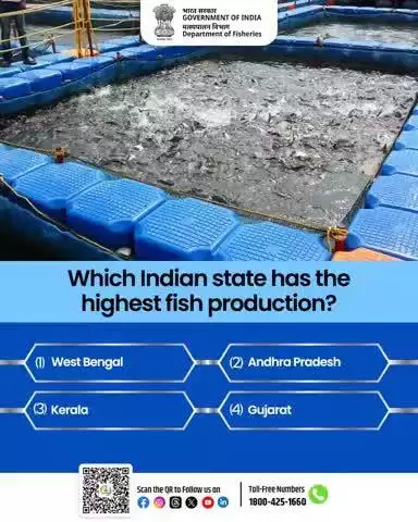 Q: Which Indian state has the highest fish production?
A. West Bengal
B. Andhra Pradesh
C. Kerala
D. Gujarat