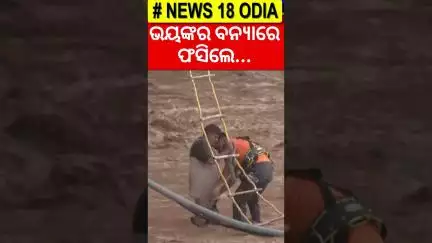 After heavy overnight rain, man trapped in the swollen Tawi river in Jammu rescued safely by SDRF