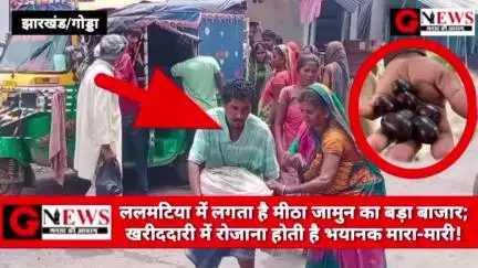 झारखंड/गोड्डा : ललमटिया में लगता है मीठा जामुन का बड़ा बाजार; खरीददारी में रोजाना होती है भयानक मारा-मारी! #lalmatia