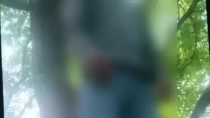 दुधि: अनपरा में पेड़ से लटकता हुआ मिला एक युवक का शव, पुलिस ने पोस्टमार्टम के लिए भेजा