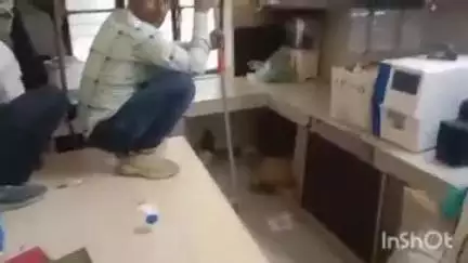 भोगनीपुर: बरौर पीएचसी की लैब में सांप घुसने से कर्मचारियों में मची अफरा-तफरी, रेस्क्यू कर सांप को बाहर निकाला गया