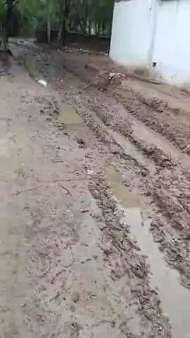ग्राम मगरवारा छिंगेवारा रास्ता कितना खराब है
