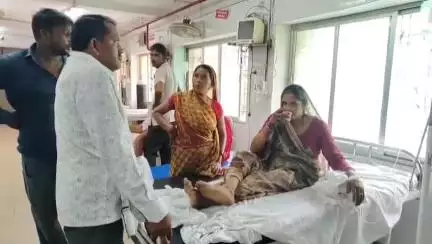 महोबा: महोबा से सटे रजपुरवा गांव में जहरीले सर्प के डसने से महिला की बिगड़ी हालत, जिला अस्पताल में इलाज जारी
