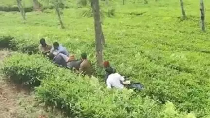 உதகமண்டலம்: குன்னூர் காட்டேரியில் இருந்து சேலாஸ் செல்லும் சாலையில் இருசக்கர வாகனம் மீது கார் மோதியதில் இருசக்கர வாகனம் ஓட்டி வந்தார் பலி