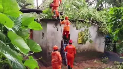വെെത്തിരി: നാടെങ്ങും ദുരിതമഴ, വ്യാപക നാശനഷ്ടം, ജാഗ്രത പാലിക്കണമെന്ന് ജില്ലാ ഭരണകൂടം