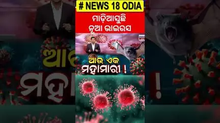 ମାଡ଼ିଆସୁଛି ନୂଆ ଭାଇରସ୍‌ | Scientists discover two brand new viruses in bats in China | N18G