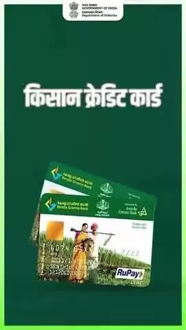 मछुआरों और मत्स्यपालकों के लिए अब आर्थिक मजबूती है आसान। केसीसी से पाएं आसान ऋण, कम ब्याज और अधिक आत्मनिर्भरता। जानिए कौन कर सकता है आवेदन और क्या हैं फायदे! आवेदन करें  jansamarth.in पर या अपने नज़दीकी CSC सेंटर