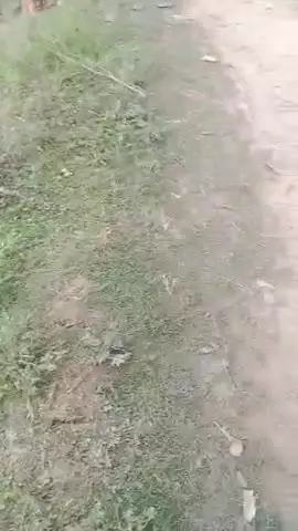 Bade Gaon Mein Naha karte hue bacche