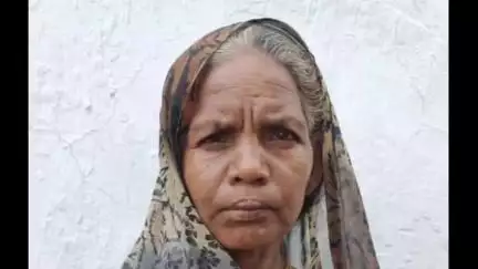 बलौदा: धरती आबा अभियान में छीतापाली गांव के पांचोबाई को मिला वन अधिकार पट्टा का हक, उम्मीदों के लगे पंख
