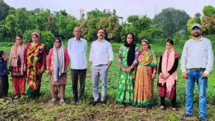 चम्पावत: संयुक्त सहकारी खेती के अंतर्गत अदरक बीज उत्पादन योजना का किया गया स्थलीय निरीक्षण