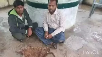 કપરાડા: લવકરથી દીપડાના બચ્ચાની ચામડી સાથે 3 આરોપીની ધરપકડ, 7 વર્ષની જેલની જોગવાઈ