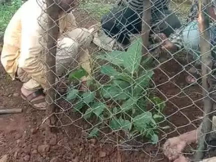 garm moghan
posht nagziri ke pass moghan 
jila khargone