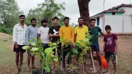 बालोद: प्रकृति संरक्षण की दिशा में कदम: कोड़ेकसा में युवाओं और कर्मचारियों ने किया औषधीय पौधों का वृक्षारोपण