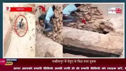 लखीमपुर में तेंदुए से भिड़ गया युवक, नजारा देख उड़े सबके होश, देखें वीडियो
#लखीमपुर #तेंदुए #युवक